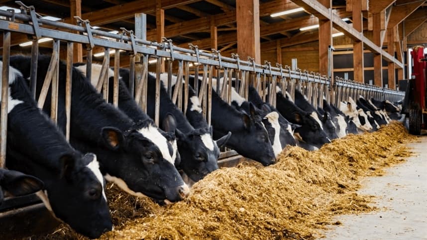 FORTISILO: Programa da Supra Sementes apoia a produção de silagem
