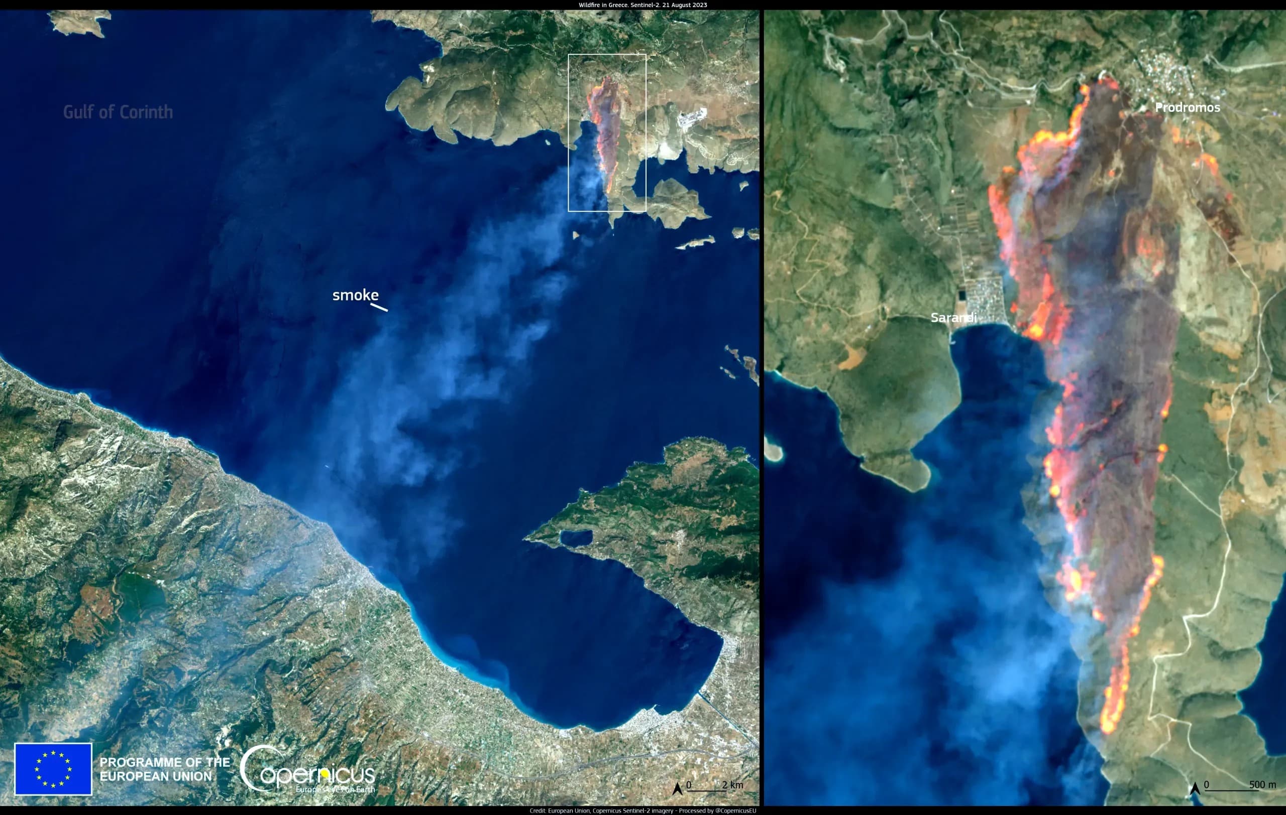 Incêndios na Europa ameaçam produção de azeite