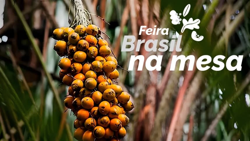 Feira Brasil na Mesa destaca diversidade alimentar em Planaltina