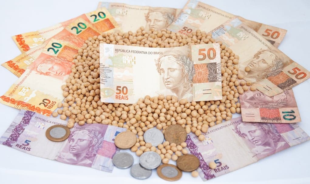 Mercado de soja no Brasil registra alto volume de negociações