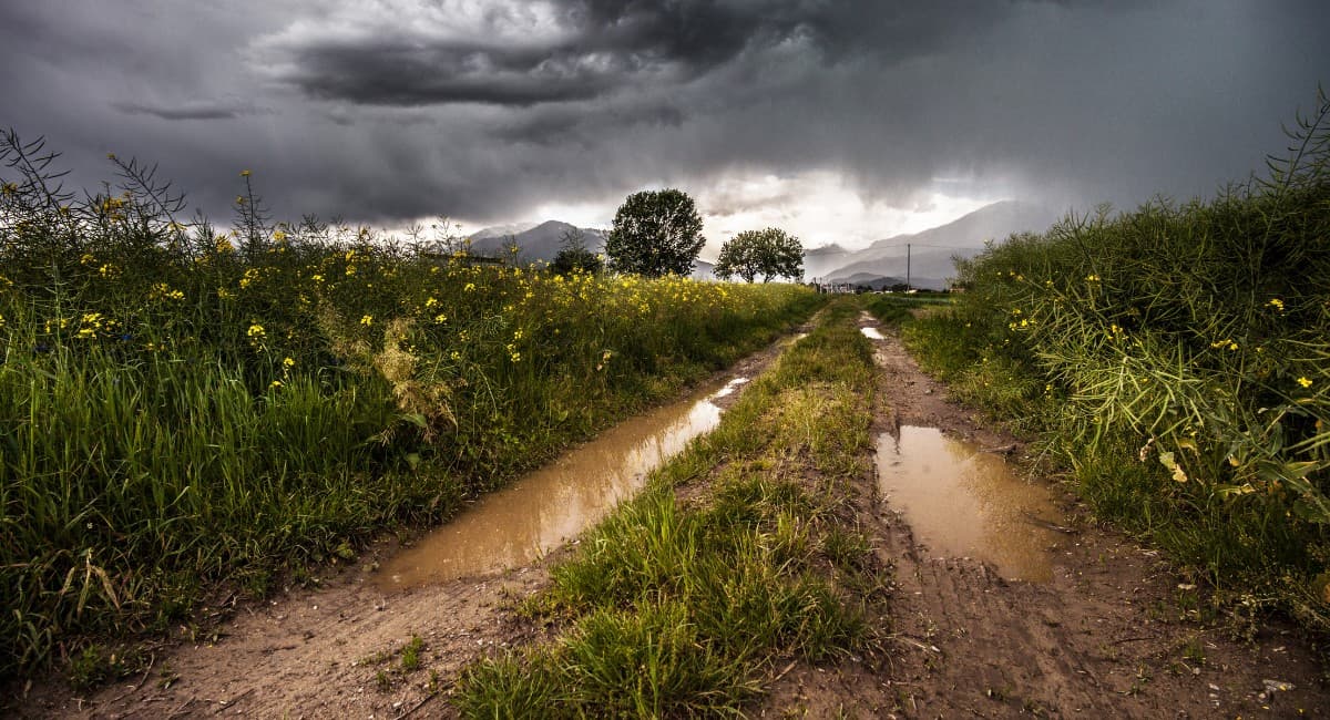 El Niño deve alcançar nível muito forte entre outubro e dezembro