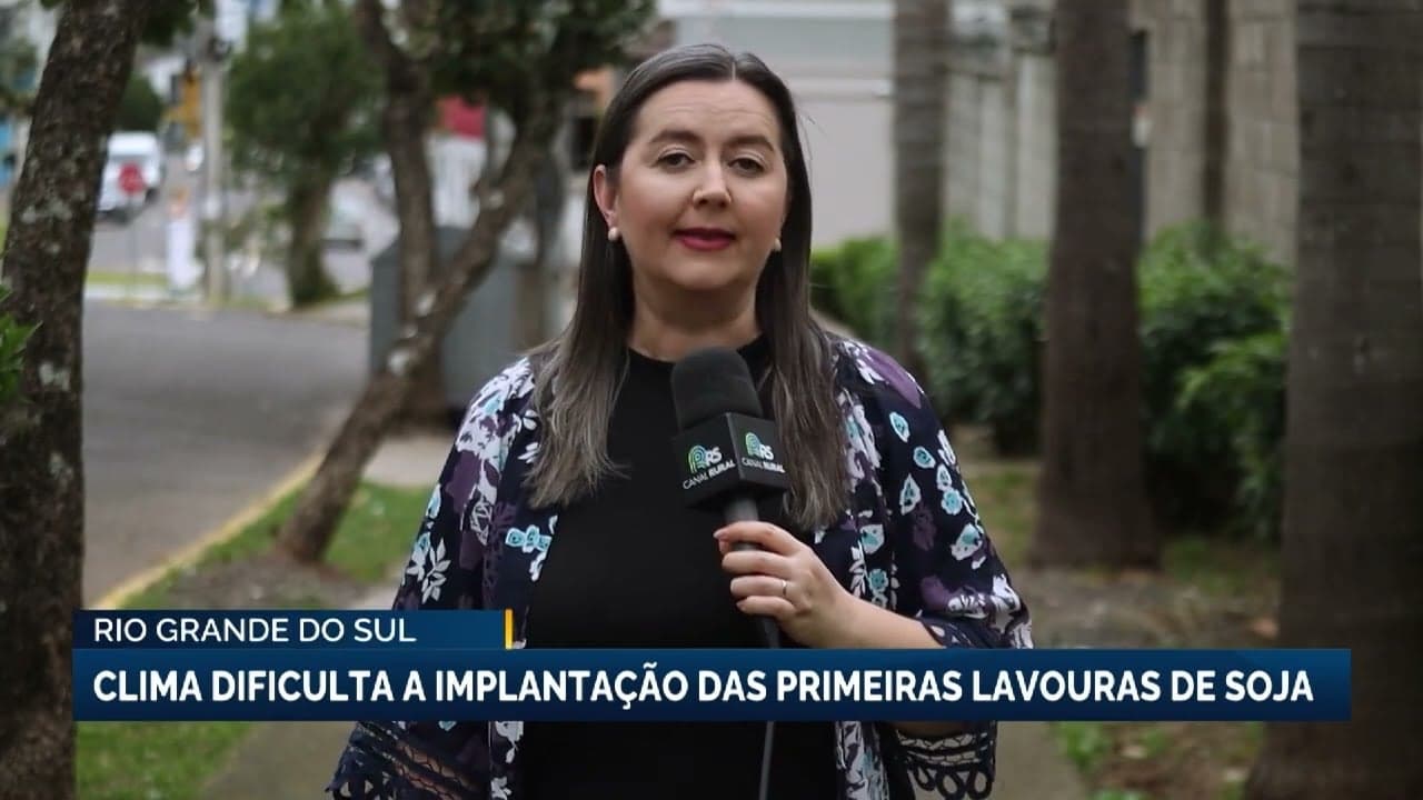 Clima dificulta plantio de soja no Rio Grande do Sul, segundo Emater