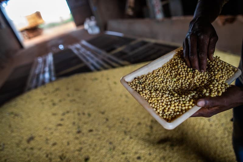 Economista aponta virada de ciclo e oportunidades no mercado de commodities