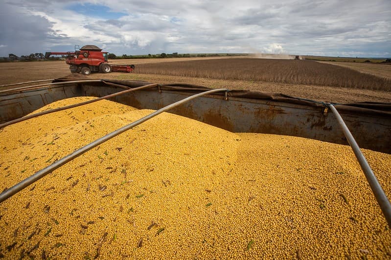 Queda no preço da soja afeta mercado agrícola brasileiro