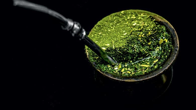 Deputado experimenta chimarrão com cannabis no Rio Grande do Sul