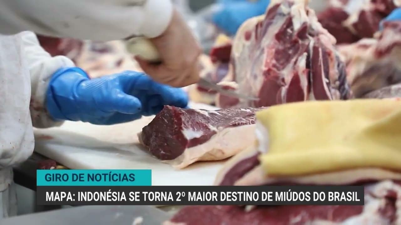 Óleo de soja com preços baixos e alta competitividade internacional