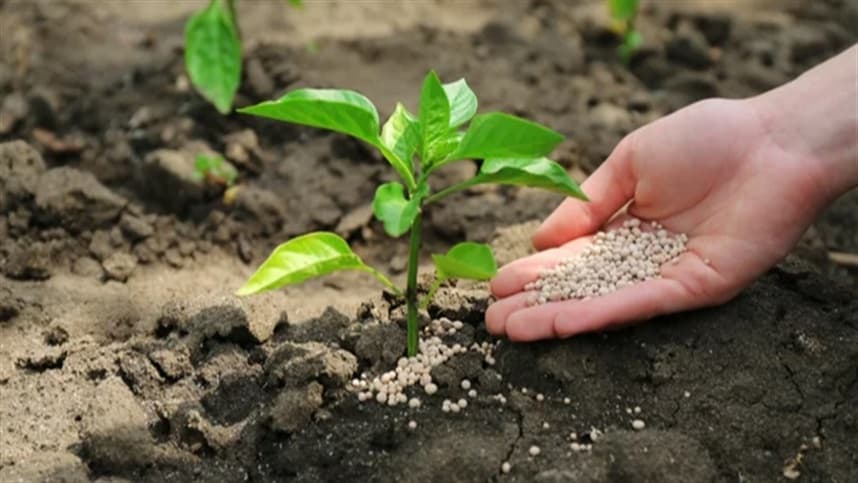 Brasil conquista maior independência na fabricação de fertilizantes