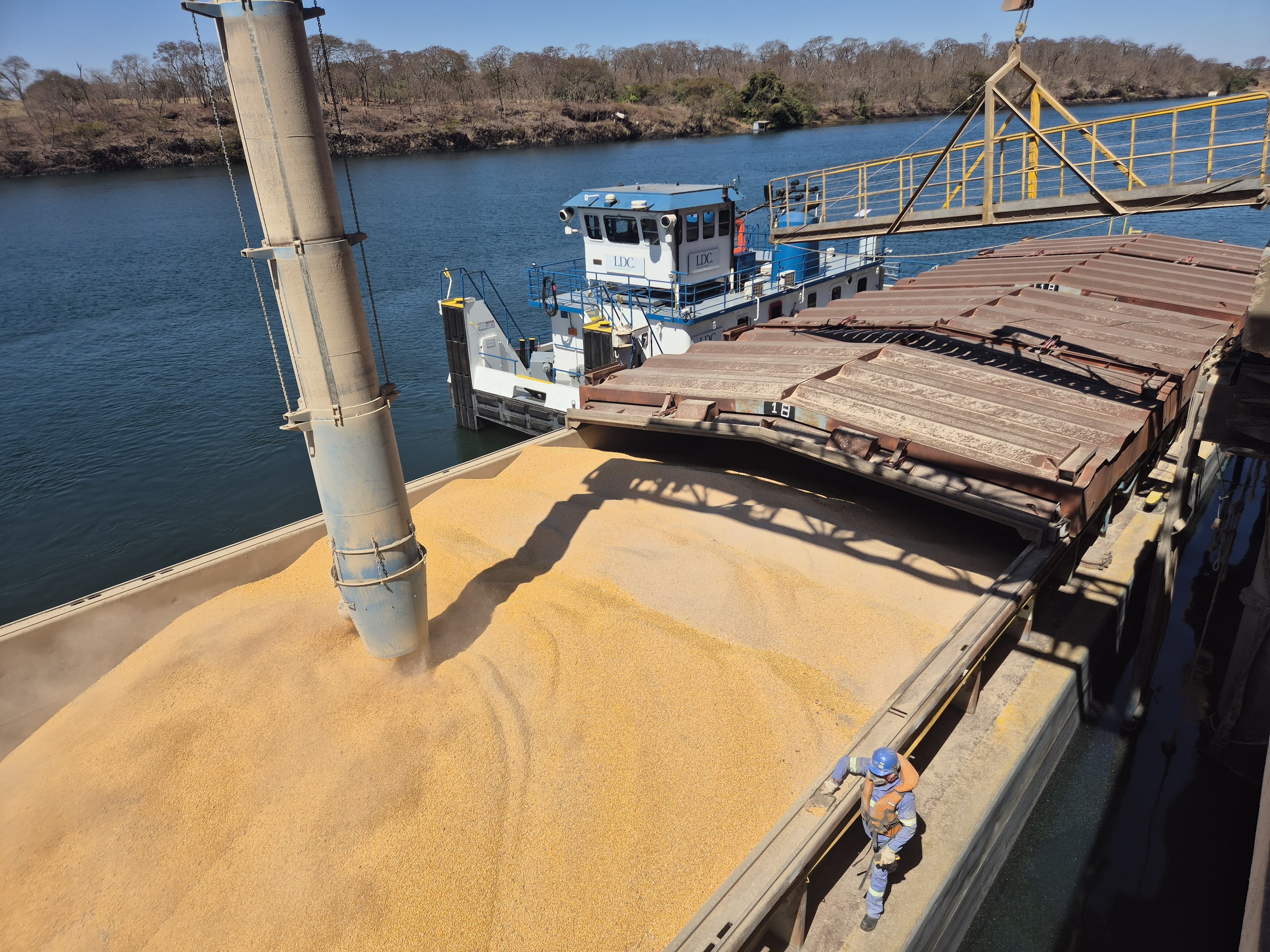 Exportações de milho do Brasil dobram em abril amid greves na Argentina