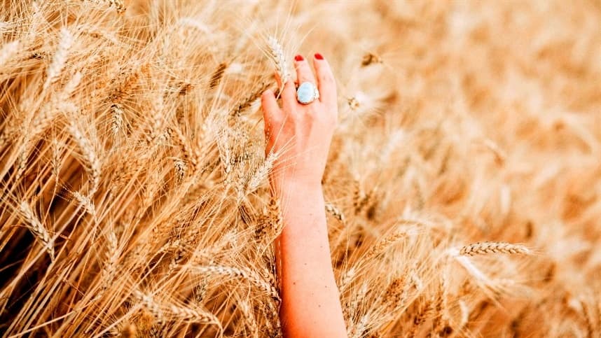 Prêmio Mulheres do Agro: Indicações abertas até abril