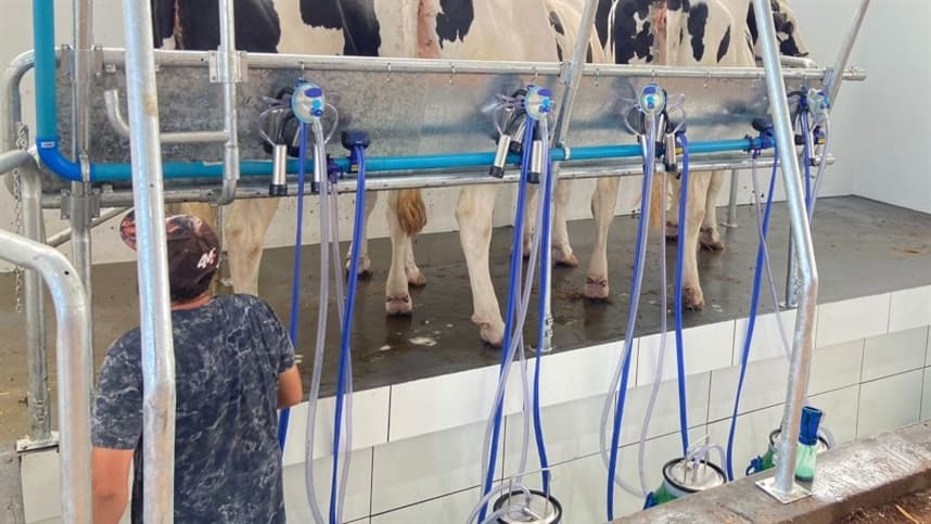 Curso em Caxias do Sul capacita produtores de laticínios