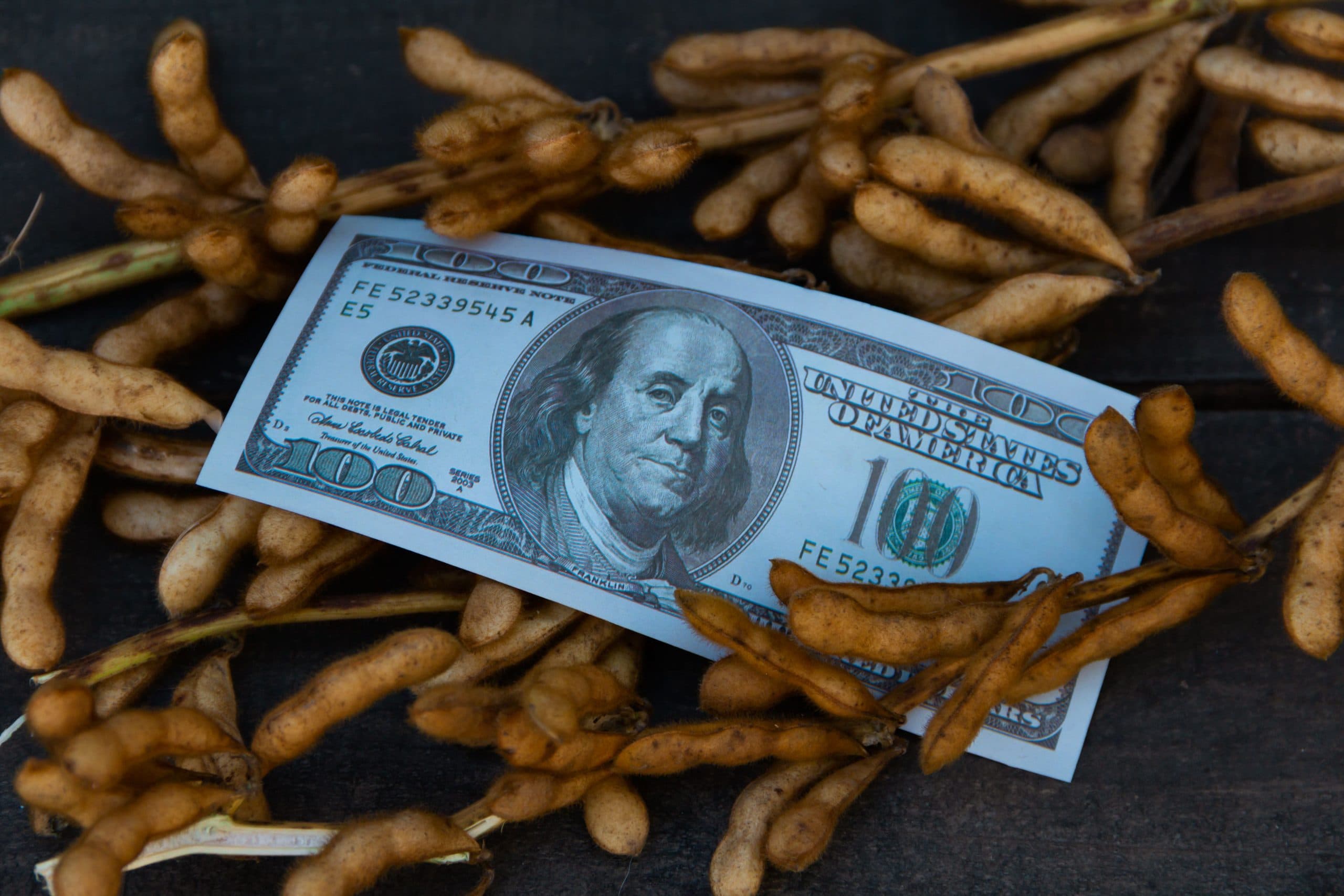 Preços da soja são monitorados atentamente antes do relatório do USDA