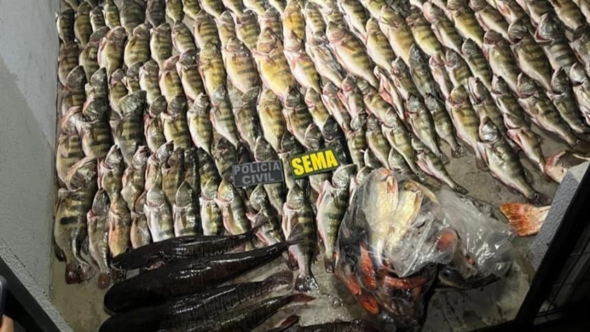 Sema e Polícia Civil apreendem 184 peixes irregulares em Luciara