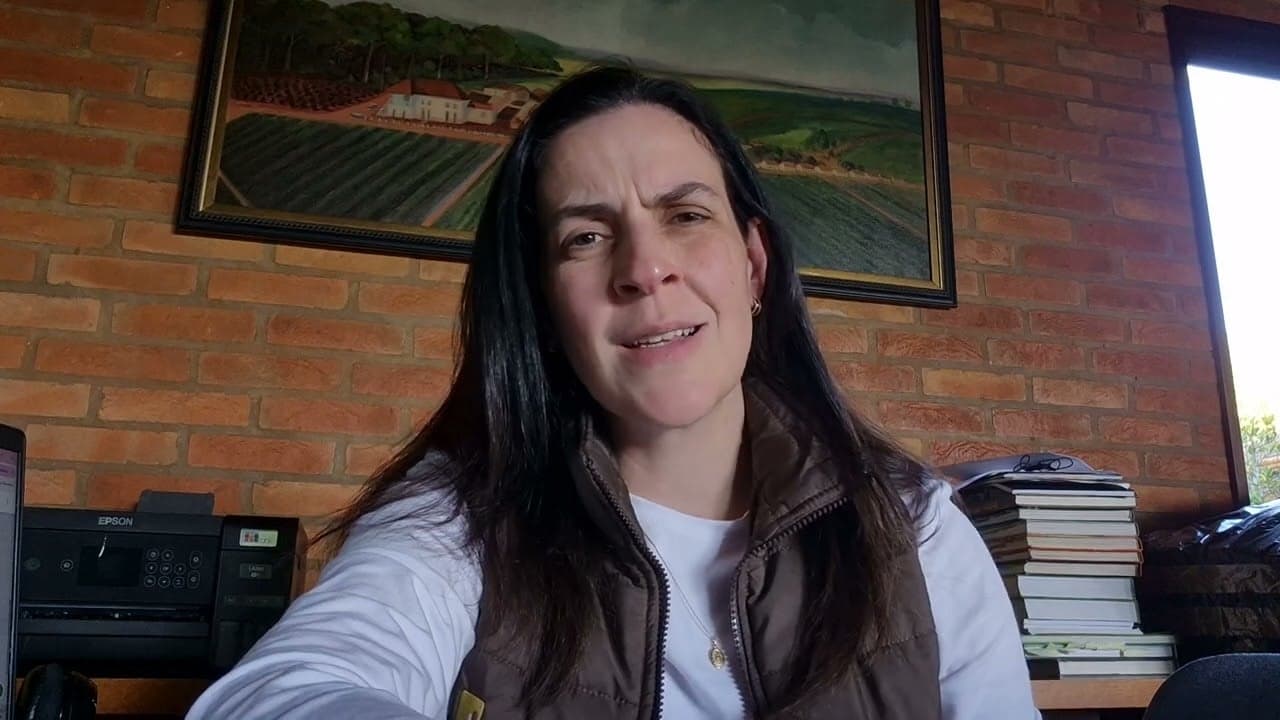 Veto da União Europeia à carne brasileira: impacto limitado