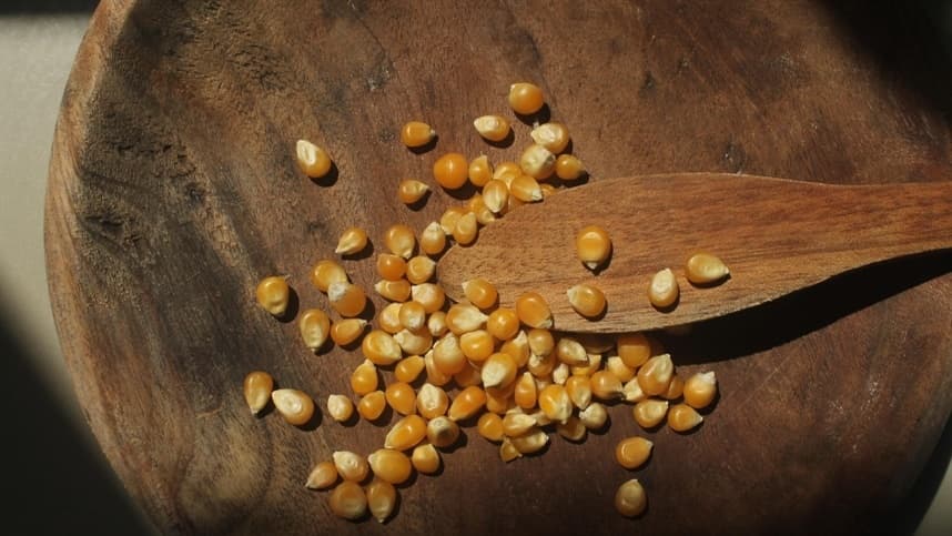 Cenário do Mercado de Milho no Brasil Apresenta Divergências Regionais