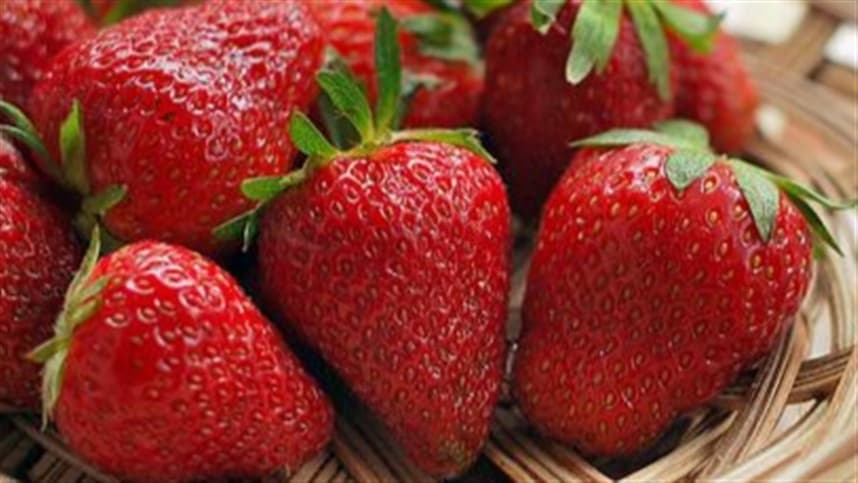 Qual é o estado atual do plantio de morango?