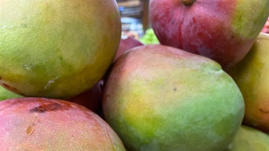 Em 2023, as exportações de manga atingiram um marco histórico