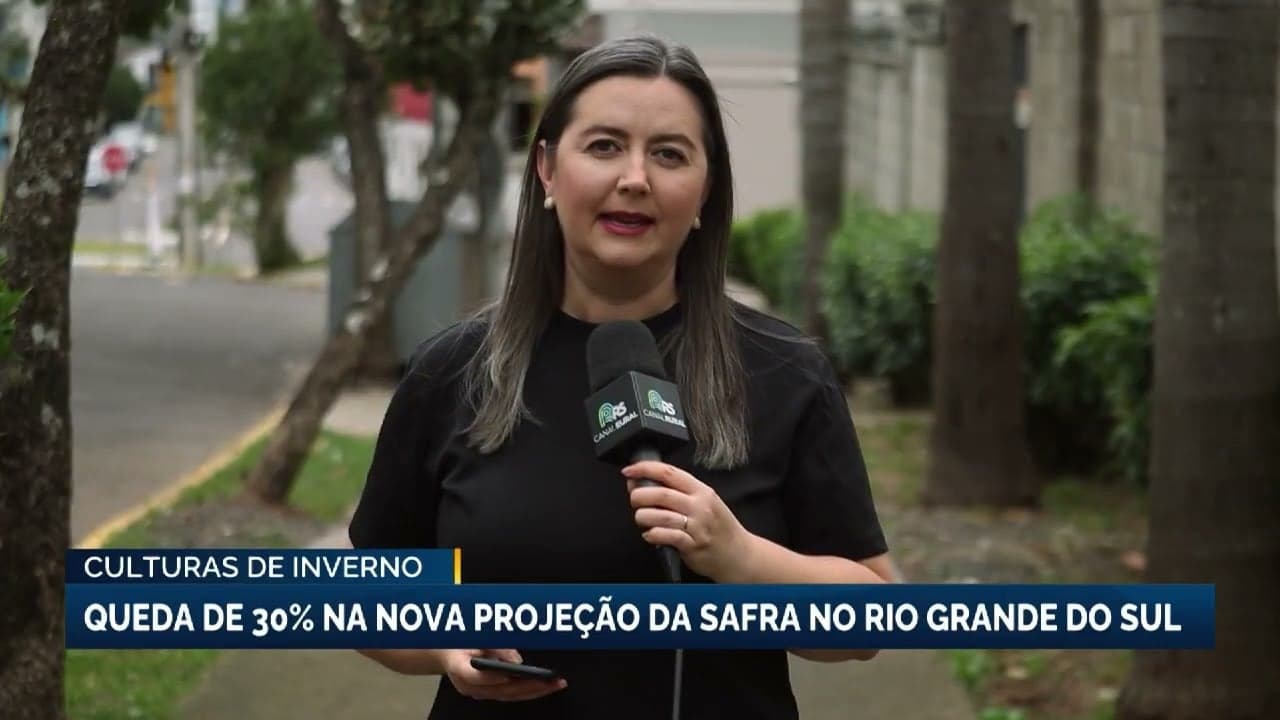 Nova Projeção da Emater Indica Queda de 30% nas Safras de Inverno no RS