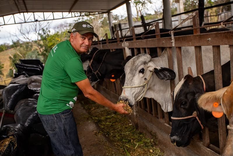 Produtor de leite na Bahia aumenta produção com manejo moderno