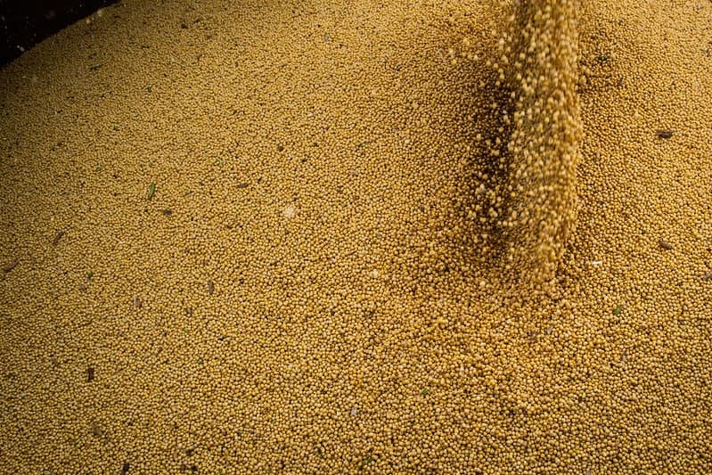 Preços da soja e milho têm variações mistas na bolsa de Chicago