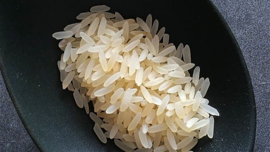 Chuvas atrapalham colheita de arroz no Rio Grande do Sul