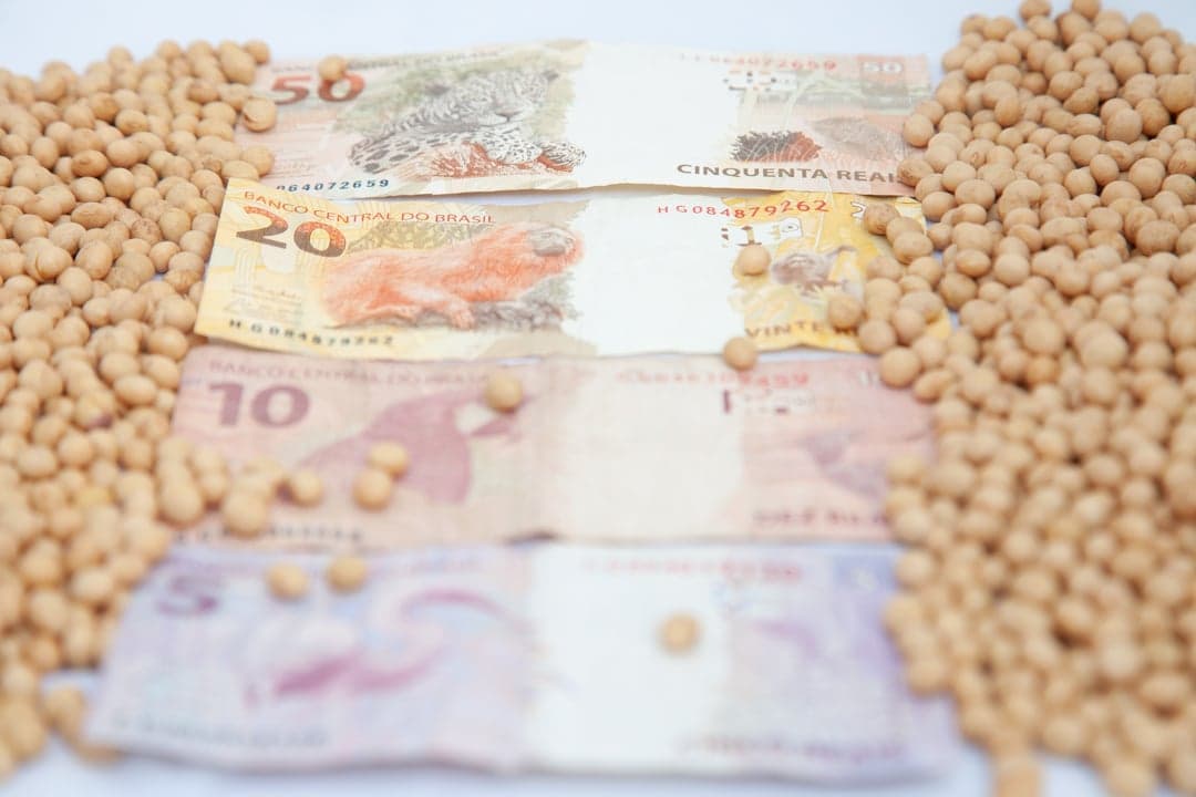 Preços da soja no Brasil sobem levemente enquanto mercado se estabiliza