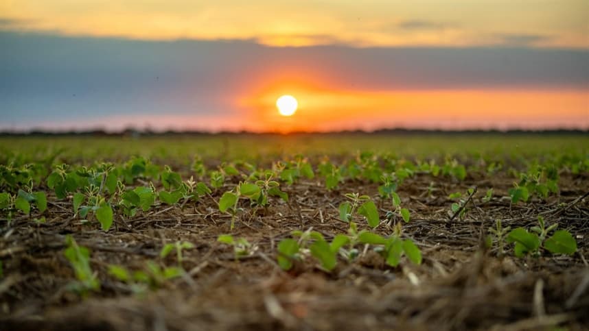 Aprosoja MT destaca importância da prevenção a incêndios para agricultura