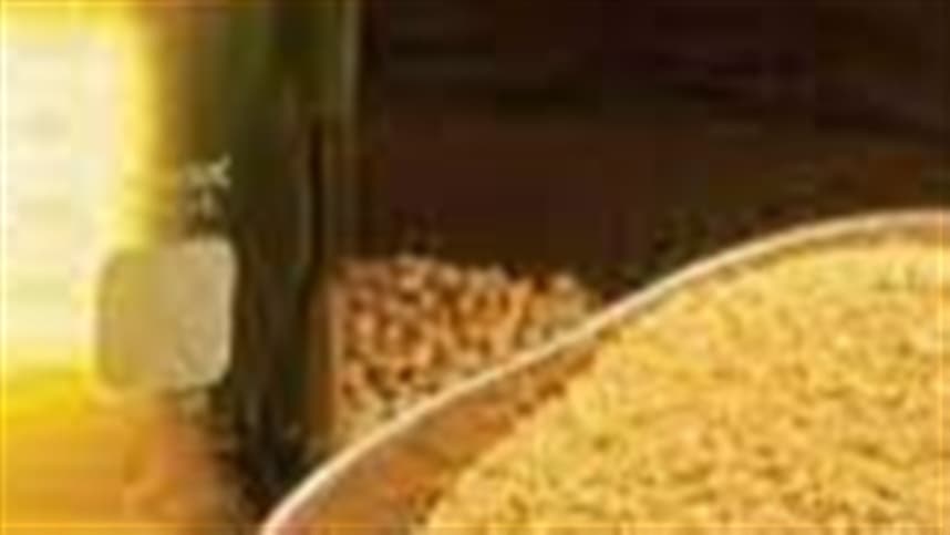 Mercado de óleos vegetais sofre queda devido à frustração comercial