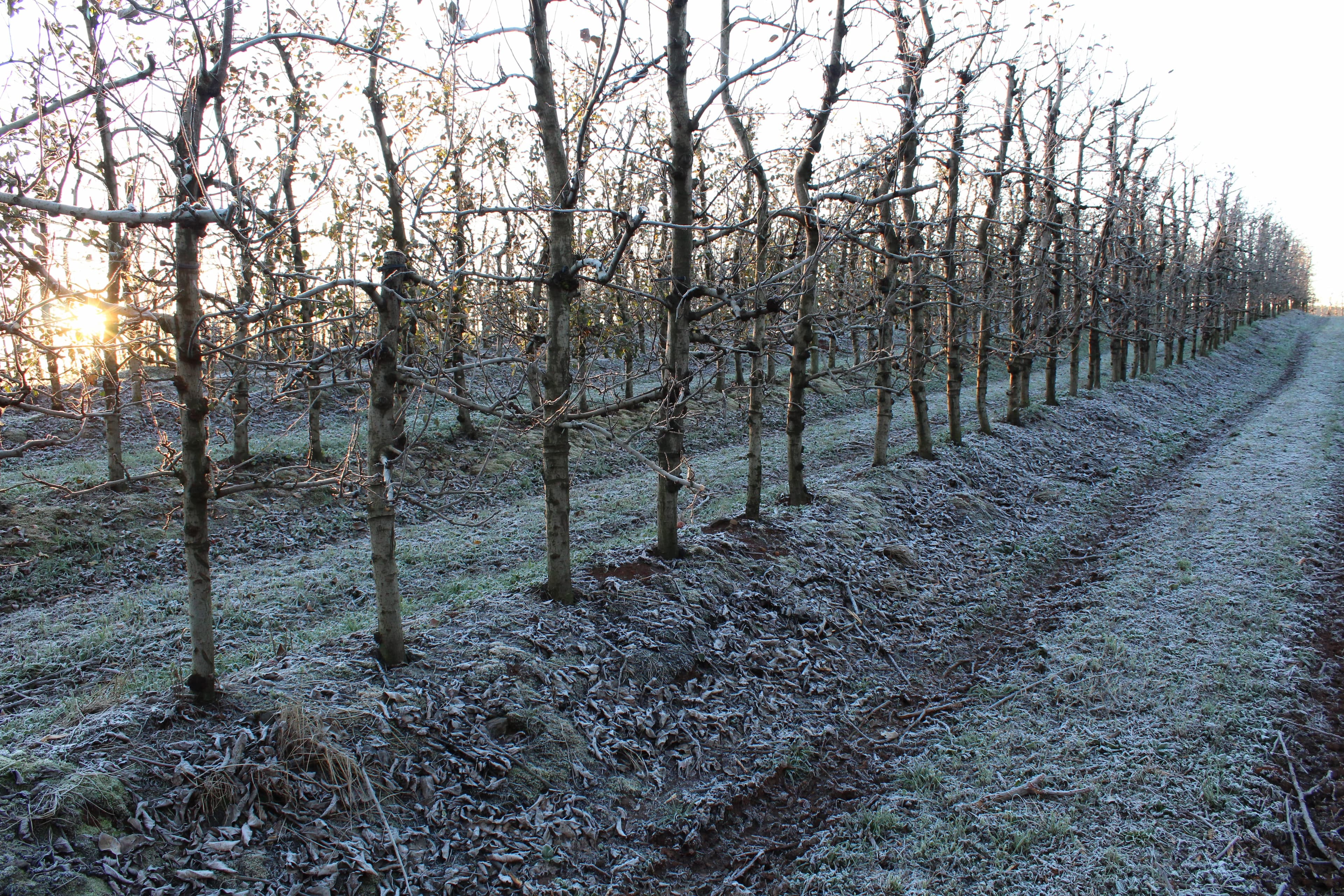 Senadora Tereza Cristina busca recursos para Fundo de Catástrofe