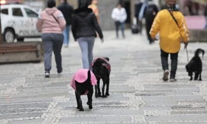 Previsão de granizo e chuvas intensa no Sul do Brasil