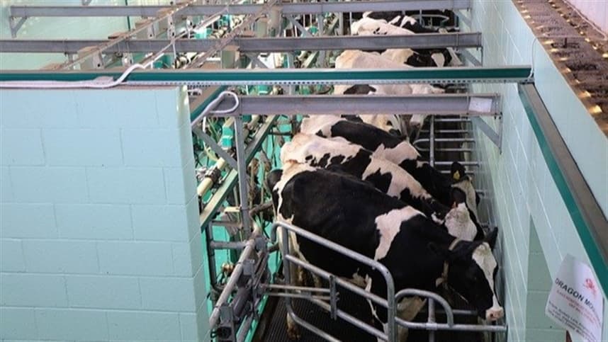 Governo do Acre apoia produtores com insumos para pecuária