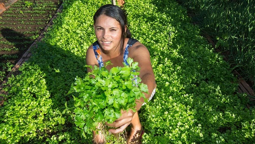 Aumento de 161% nos financiamentos através do Pronaf Mulher na safra 2023/24