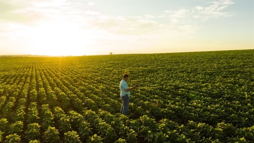Tendências que moldarão as próximas safras: confira as mudanças no setor agrícola