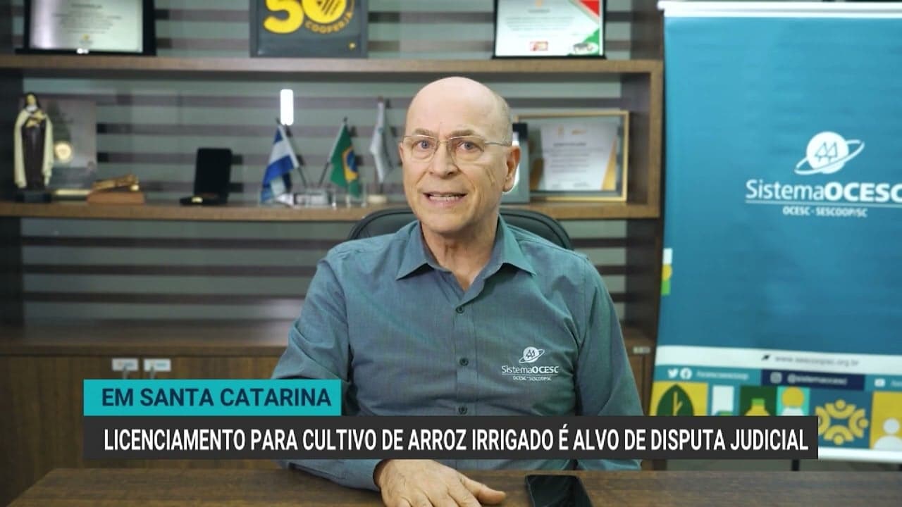 Disputa judicial sobre licenciamento ambiental para arroz irrigado em SC