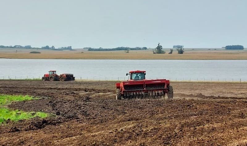 Semeadura de arroz avança no Rio Grande do Sul para a safra 2026/27