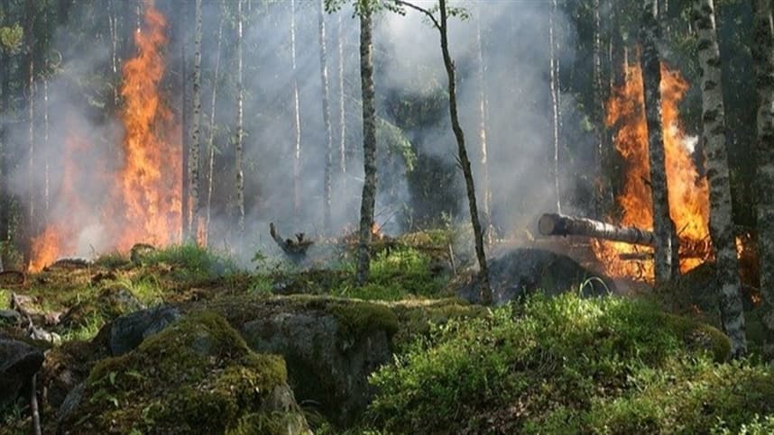 Incêndio em propriedade rural afeta lavouras e traz riscos à vida