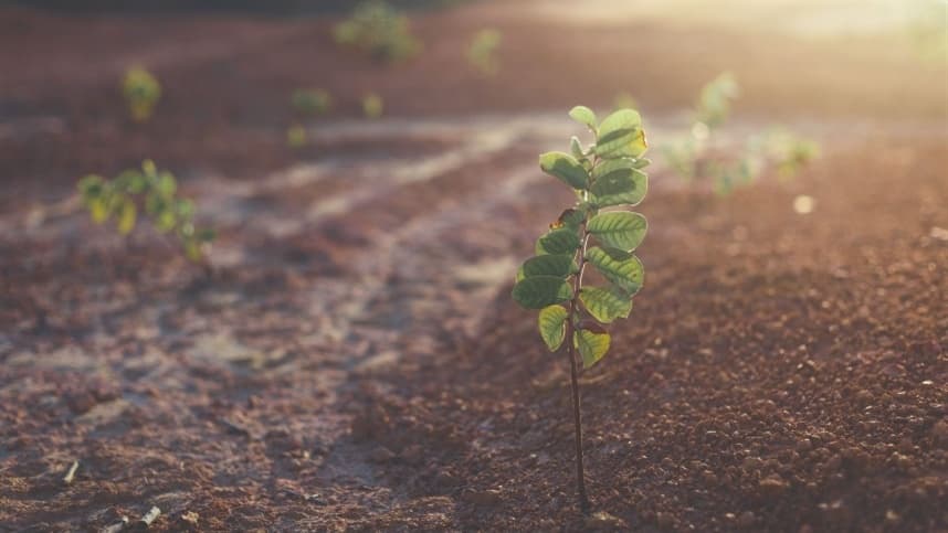 Farsul propõe emendas para aumentar renegociação de dívidas agrícolas