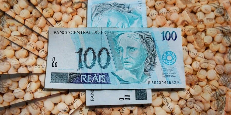 Financiamentos do agronegócio somam R$ 597 bilhões em setembro de 2026