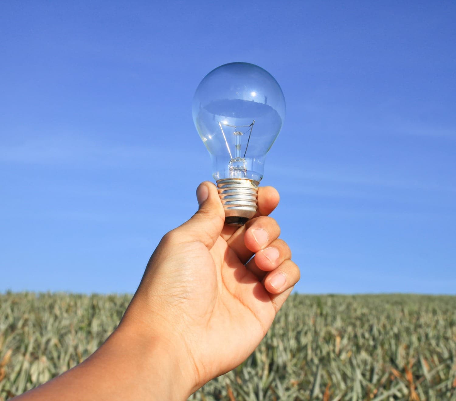 Gestão de energia se torna essencial para produtores rurais