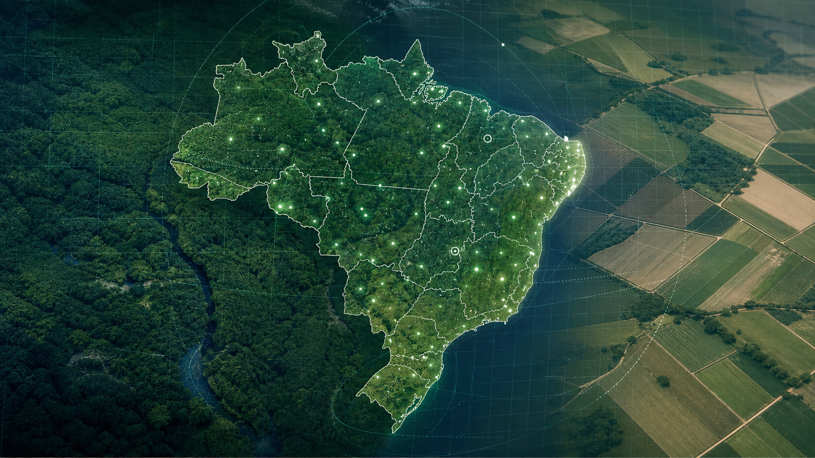 Brasil registra 37,5 milhões de ocorrências de biodiversidade em 2025