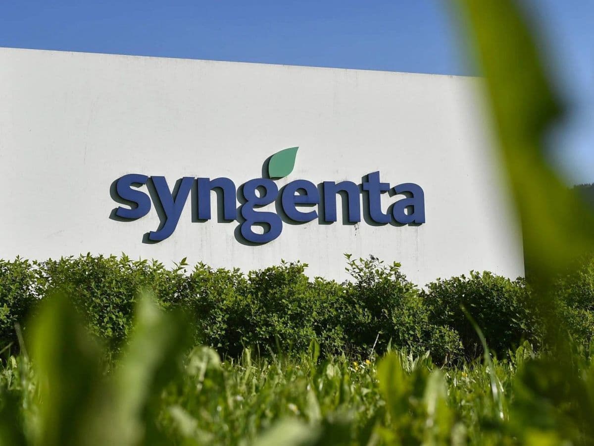 Syngenta investe em tecnologias para aumentar produtividade agrícola
