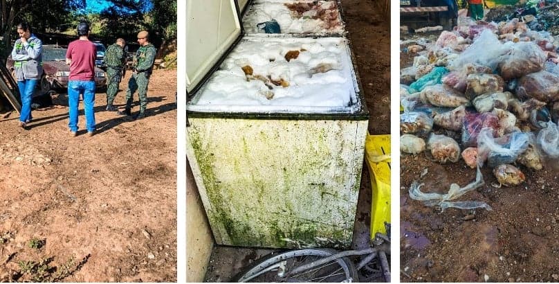 Polícia desmantela abate clandestino em Jacareí com 800 kg de carne