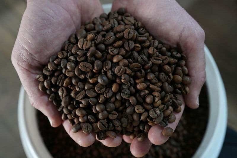 Exportador prevê colheita histórica de café no Brasil em 2026