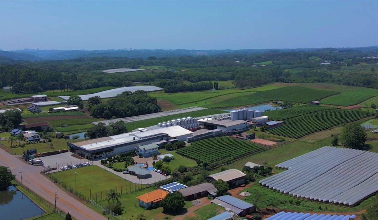 Vinícola Basso amplia portfólio com vinhos importados
