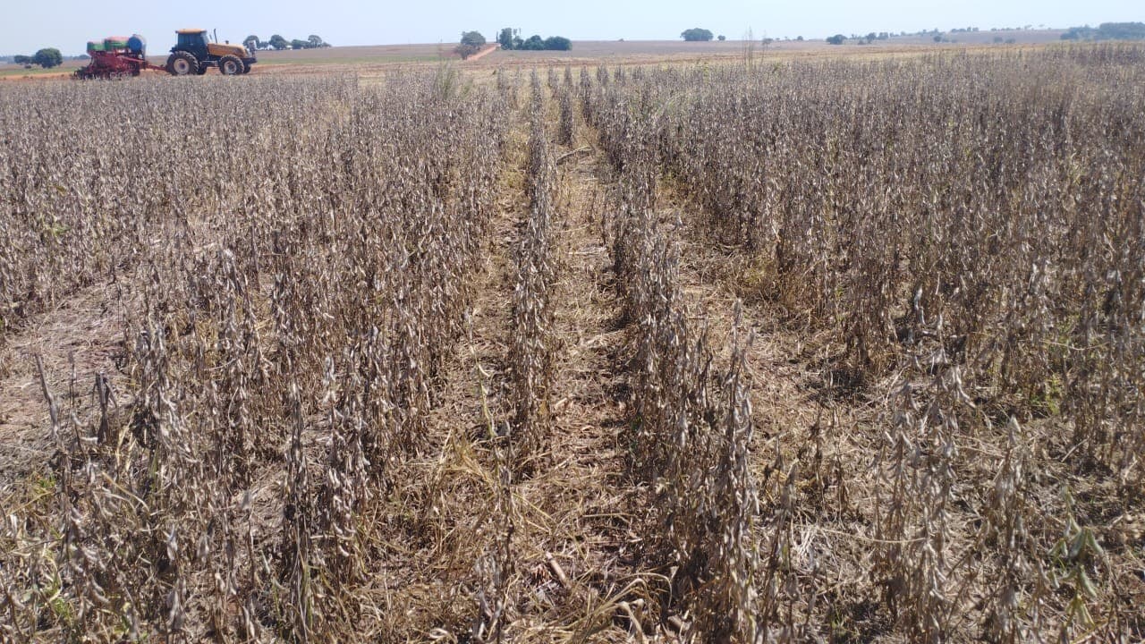 Ministério da Agricultura atrasa R$ 141 milhões em subvenção agrícola