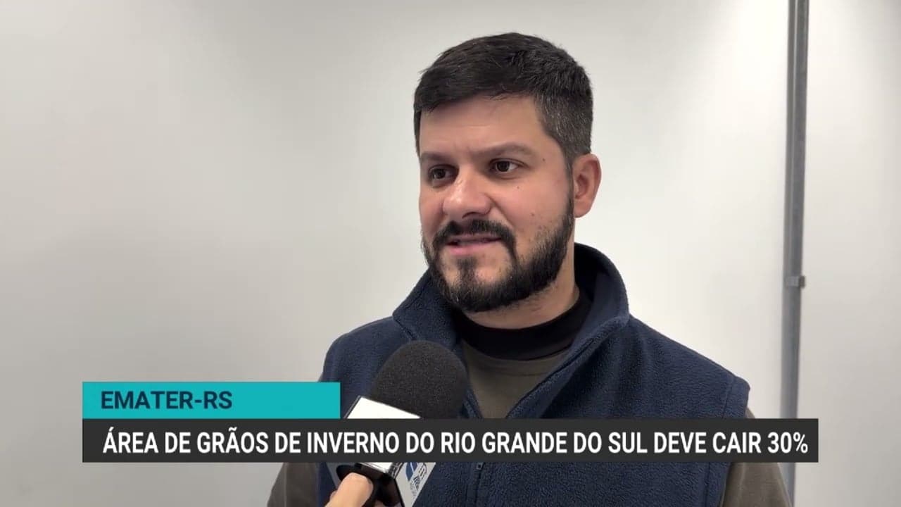 Rio Grande do Sul deve registrar queda de 30% na área de grãos de inverno