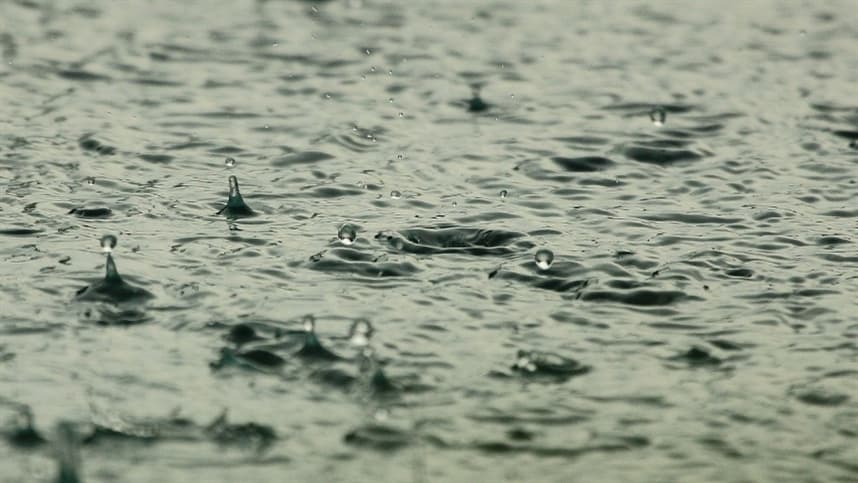 Excesso de chuva afeta fisiologia da soja antes de sintomas visíveis