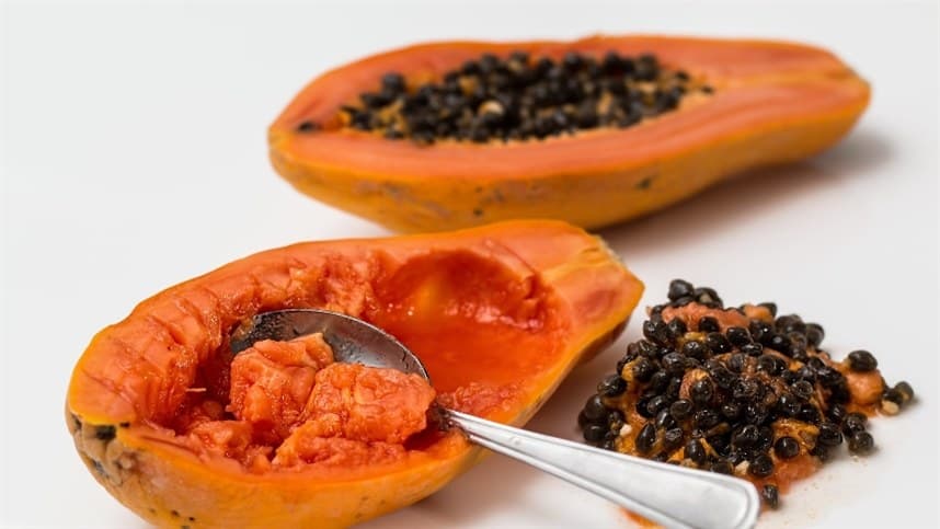 Temperatura baixa impacta produção de mamão havaí