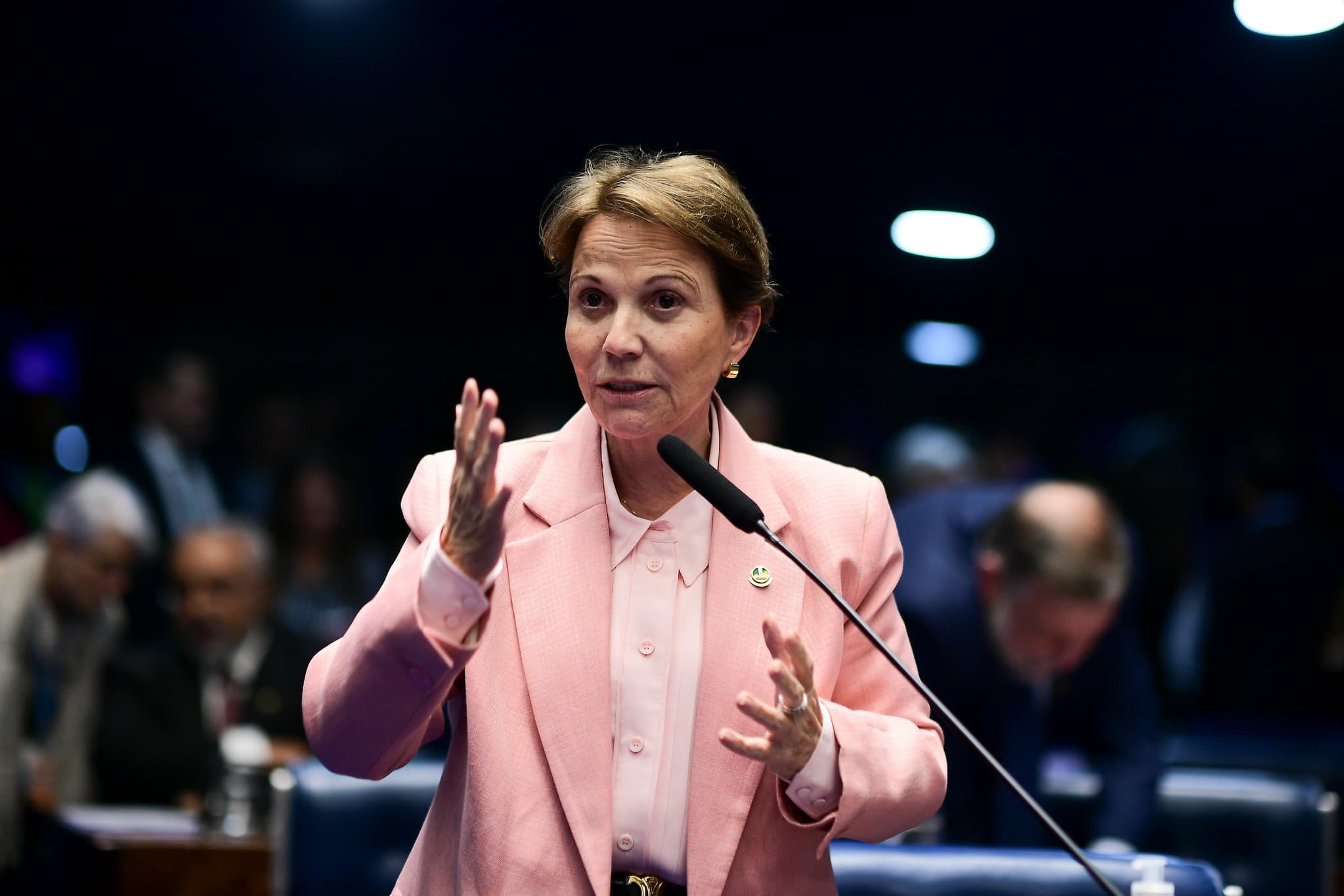Tereza Cristina avalia a necessidade de equilíbrio nas relações comerciais na gestão de Flávio Bolsonaro