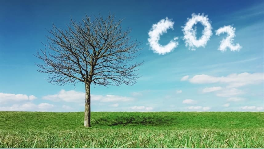 Créditos de carbono no solo podem impulsionar a agricultura regenerativa no Brasil