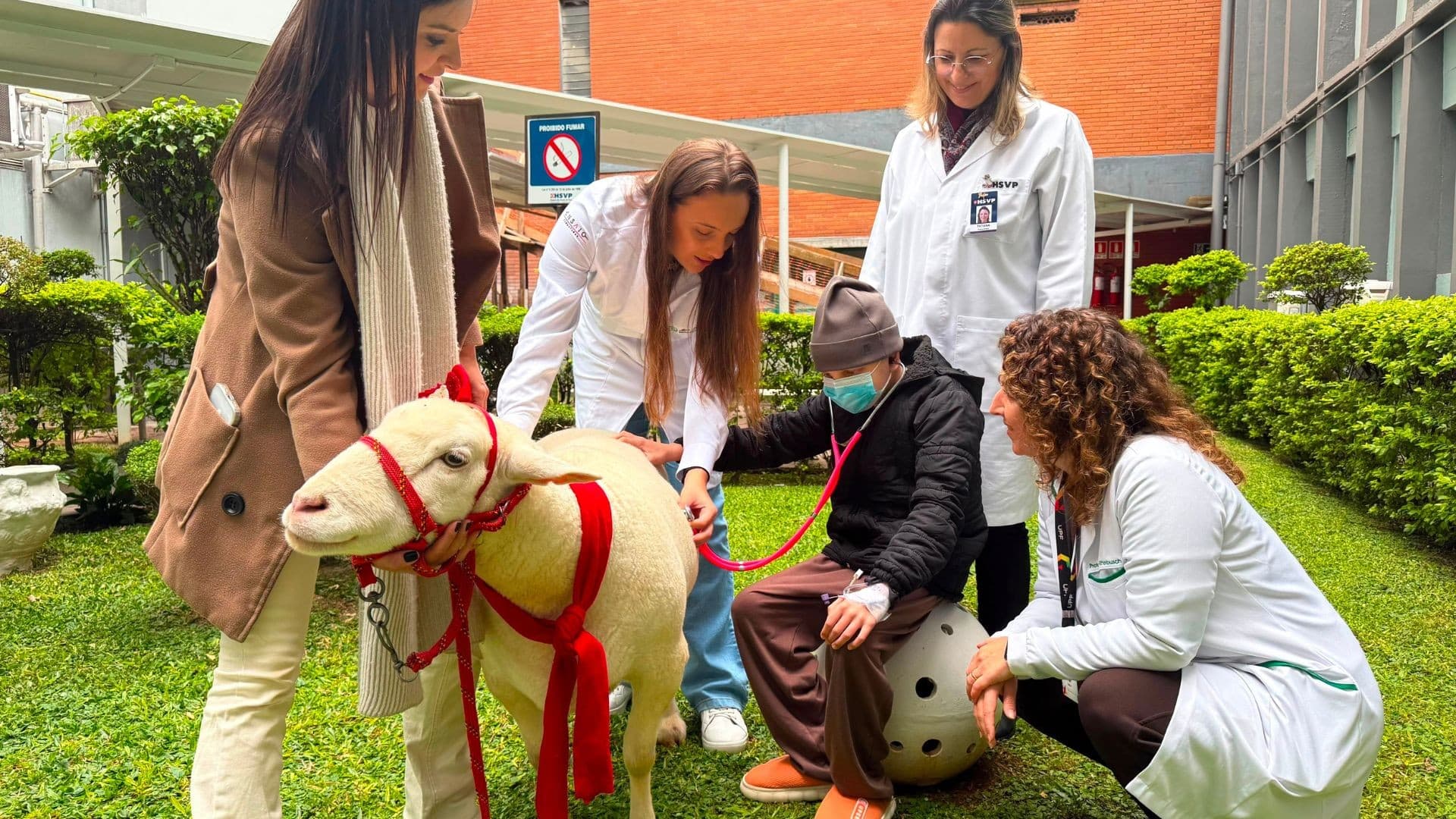 Ovelha Chanel leva alegria a pacientes em hospital no RS